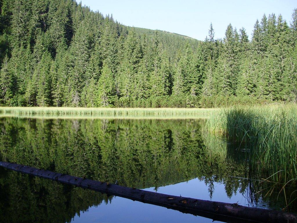 Берестечко з panoramio.com (ч.2) - Берестечко
