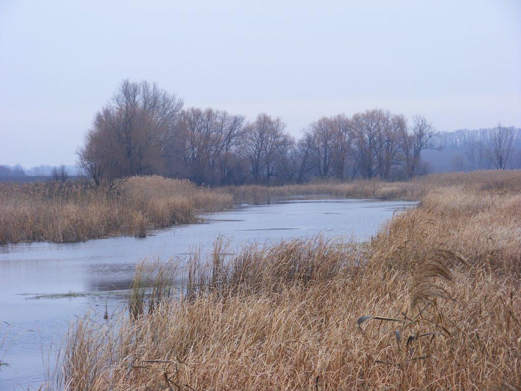 Сабадаш з panoramio.com - Сабадаш