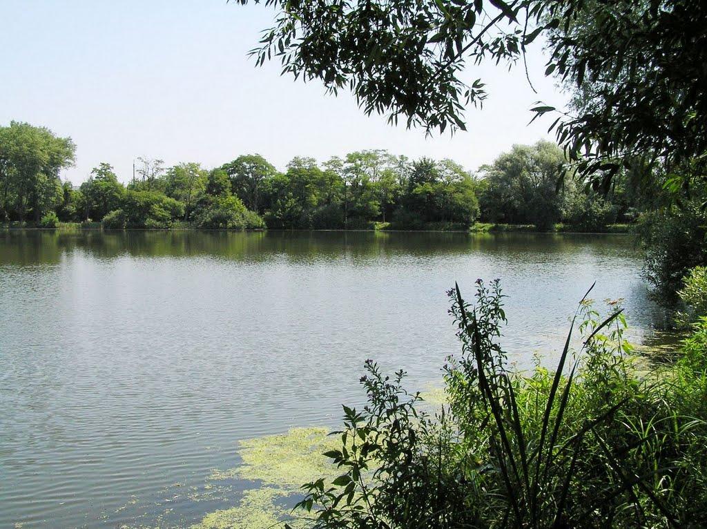 Новий Розділ з panoramio.com - Новый Роздол
