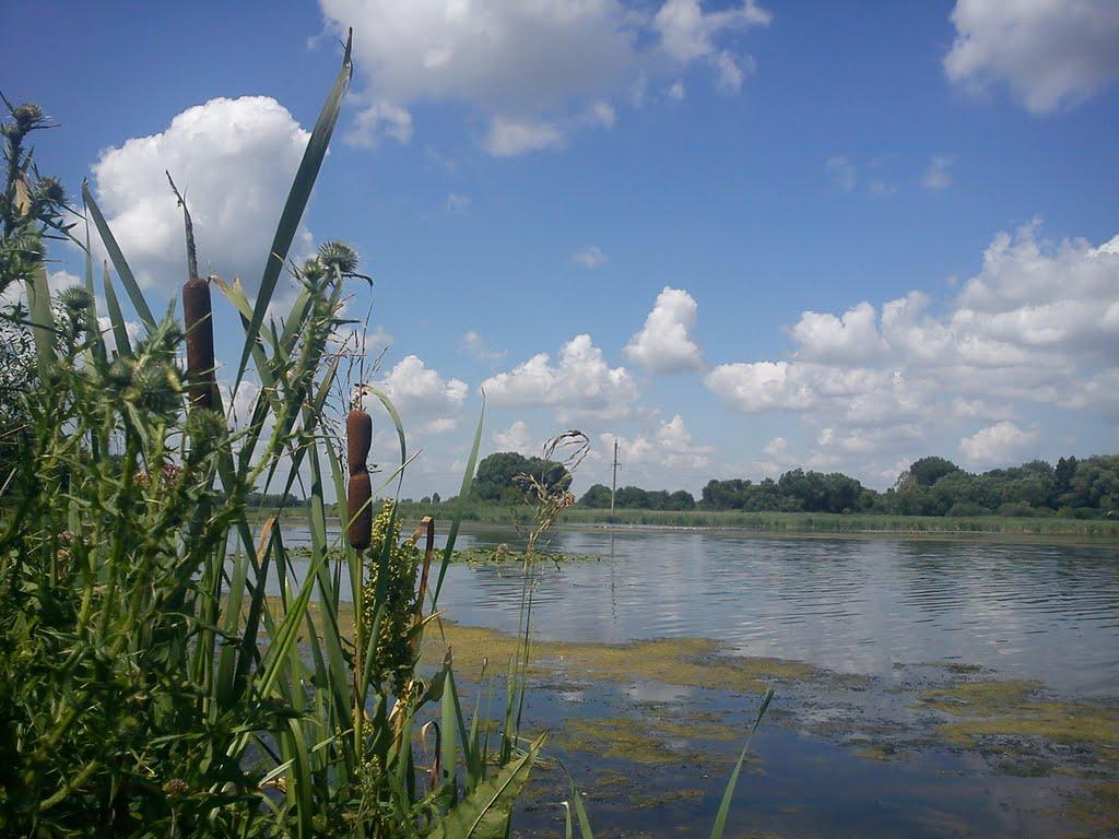 Косівщина з panoramio.com - Косівщина