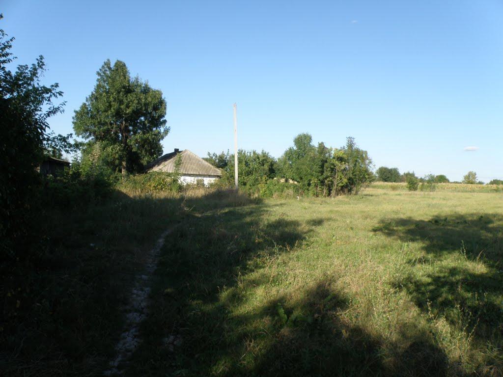 Студена з panoramio.com - Студеная