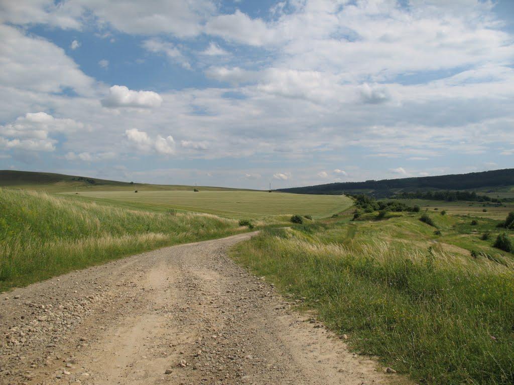 Підгайчики з panoramio.com - Підгайчики