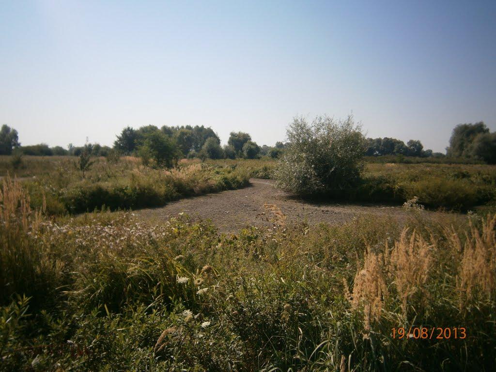Берездівці з panoramio.com - Berezdivtsi