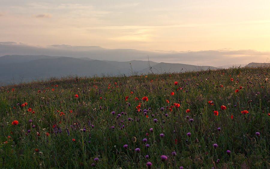 Підгірне з panoramio.com - Підгірне