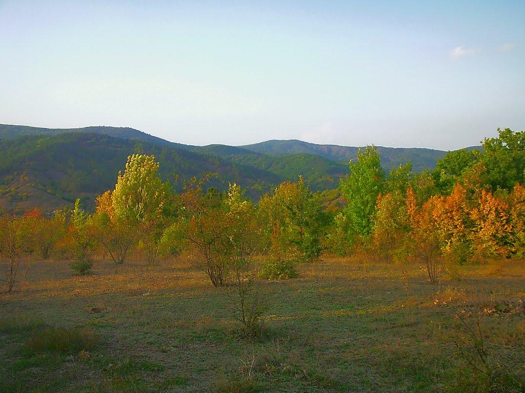 Богатир з panoramio.com - Богатир