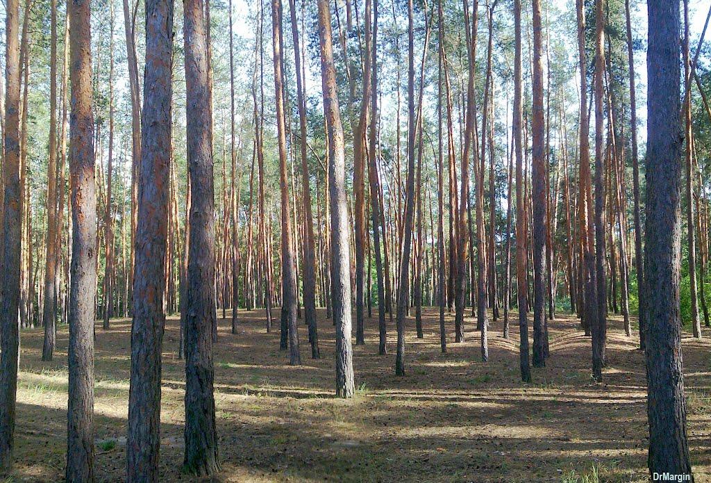 Райгородок з panoramio.com - Райгородок