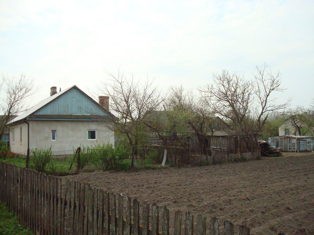 Дроздні з panoramio.com - Дроздни