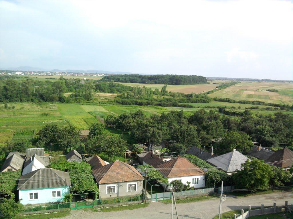 Виноградів з panoramio.com - Vynogradiv