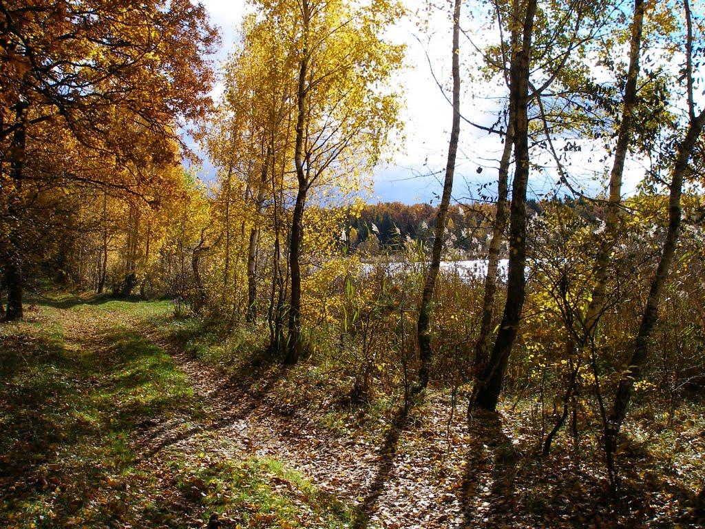 Маньківка з panoramio.com - Маньківка