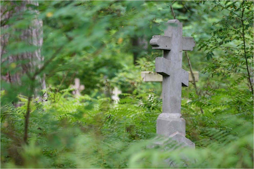 Кошари з panoramio.com - Кошари