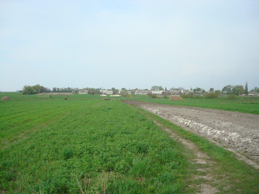 Дроздні з panoramio.com - Дроздни