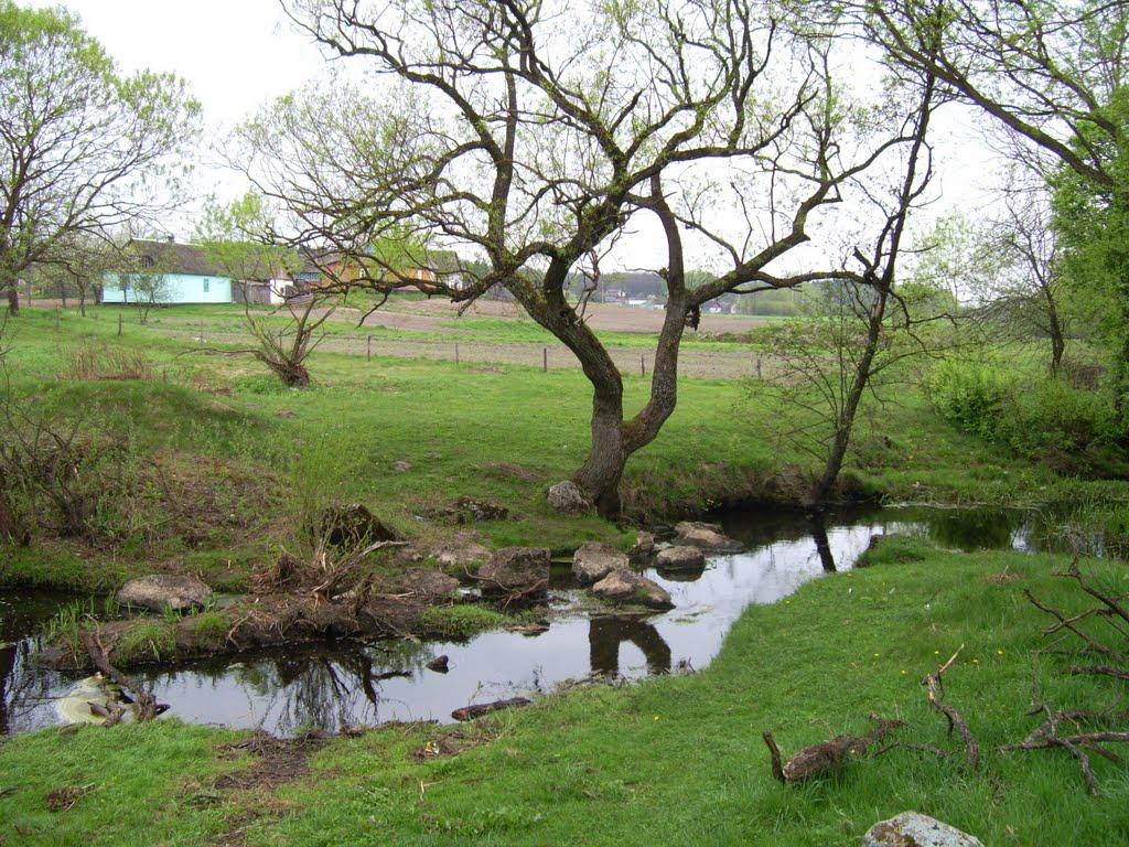 Немильня з panoramio.com - Немильня