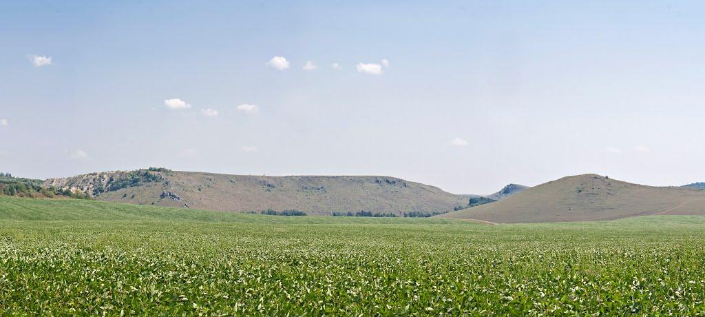 Закупне з panoramio.com - Закупное