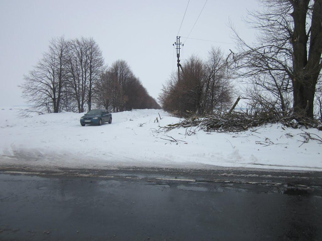 Огіївці з panoramio.com - Огіївці