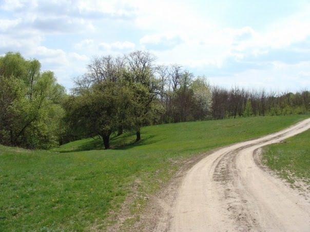 Сухини з panoramio.com - Сухини