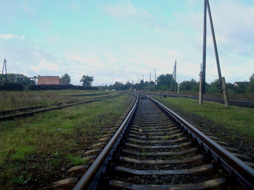 Шепетівка з panoramio.com (ч.2) - Шепетовка