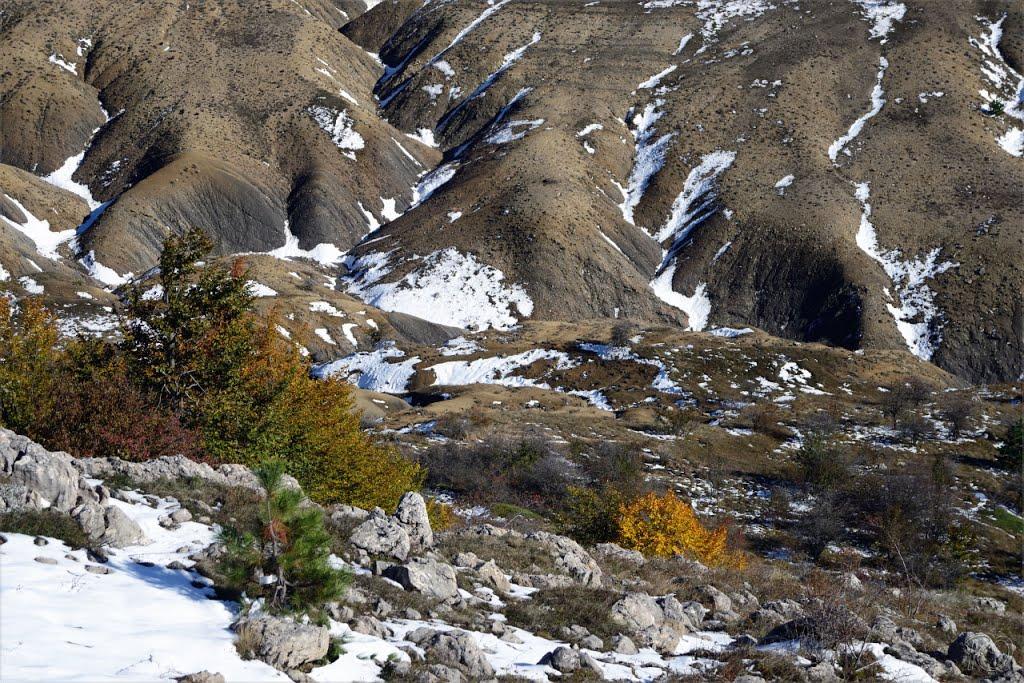 Рибаче з panoramio.com (ч.2) - Рибаче