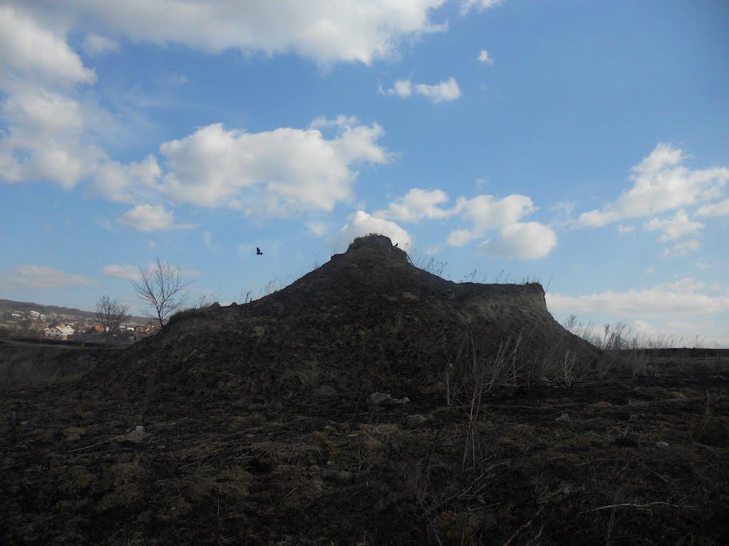 Новий Розділ з panoramio.com - Новый Роздол