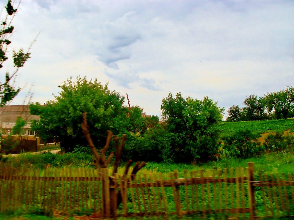 Лисянка з panoramio.com - Лисянка