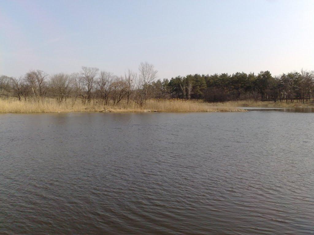 Новомосковськ з panoramio.com (ч.3) - Новомосковськ