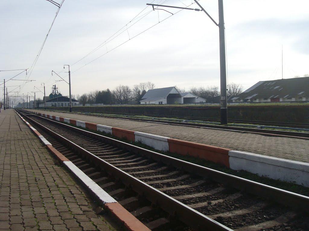 Чорний Острів з panoramio.com - Чорний Острів