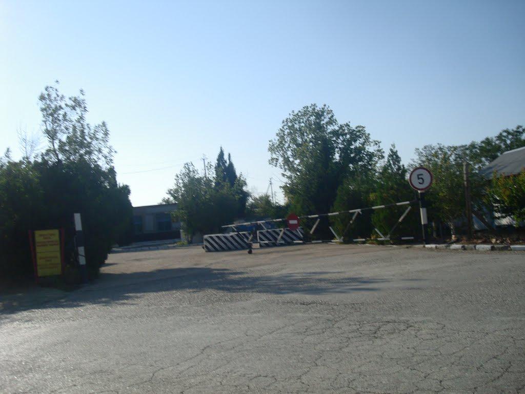 Сонячна Долина з panoramio.com (ч.2) - Сонячна Долина