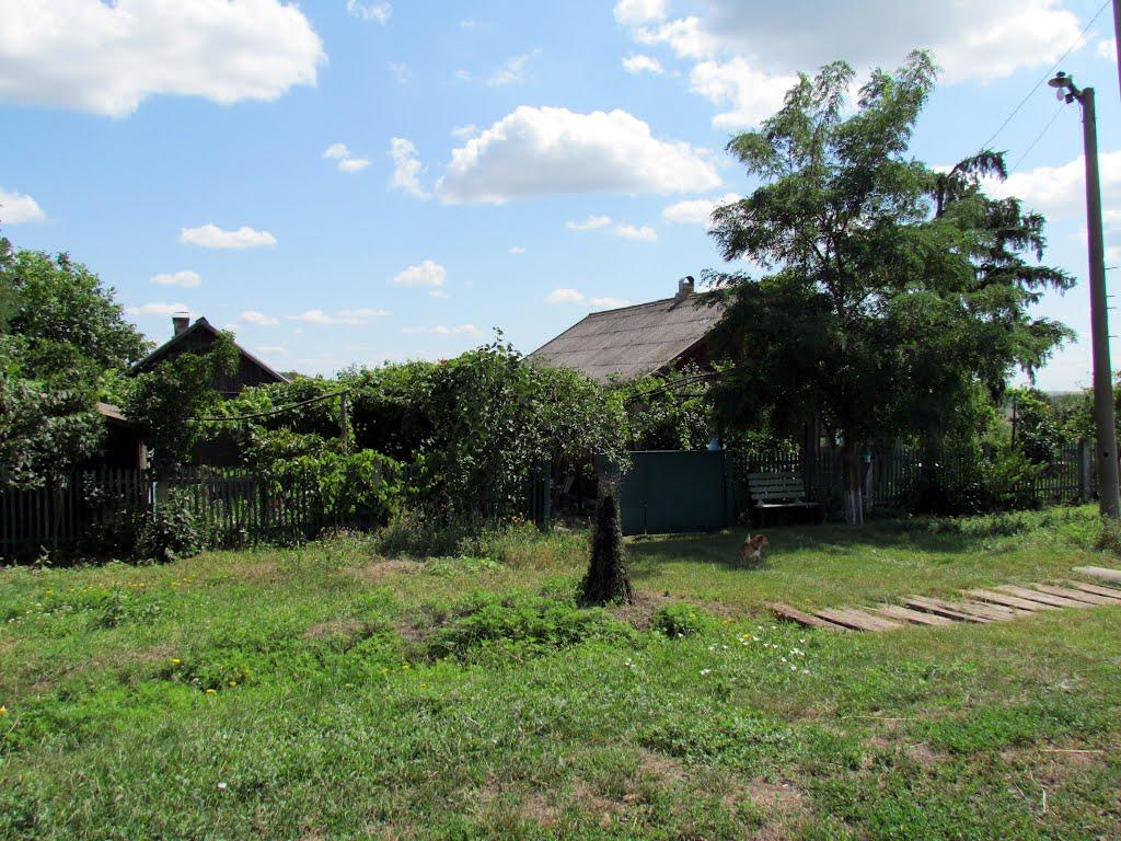 Копійкове з panoramio.com - Копійкове