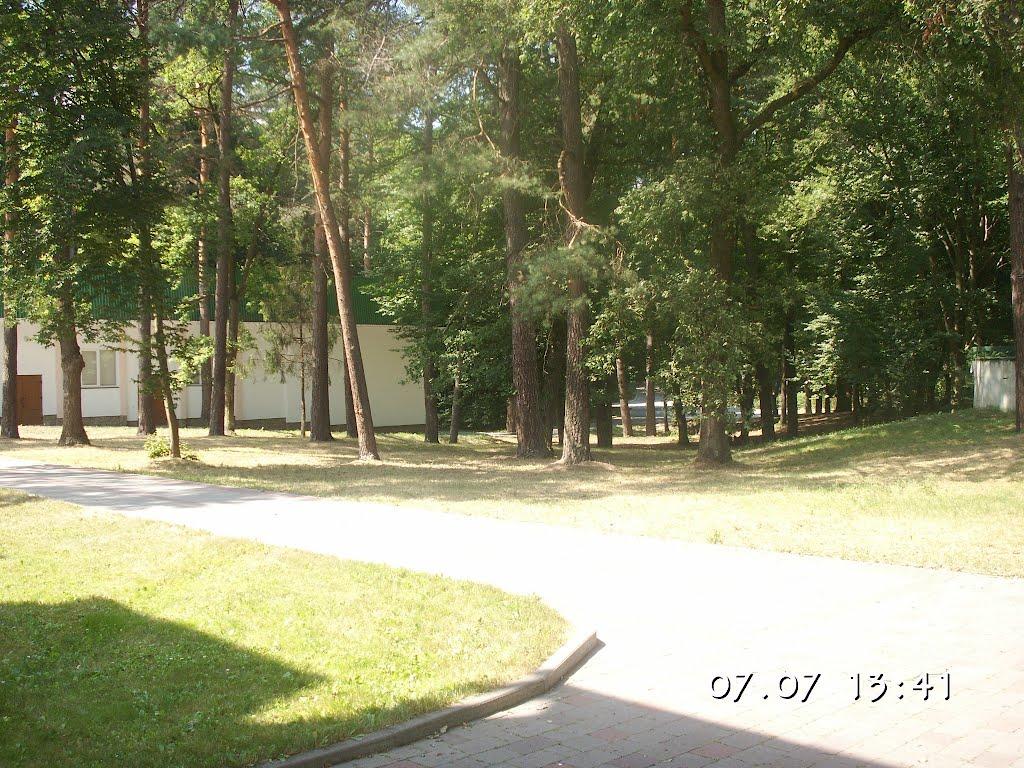 Брюховичі з panoramio.com - Брюховичі