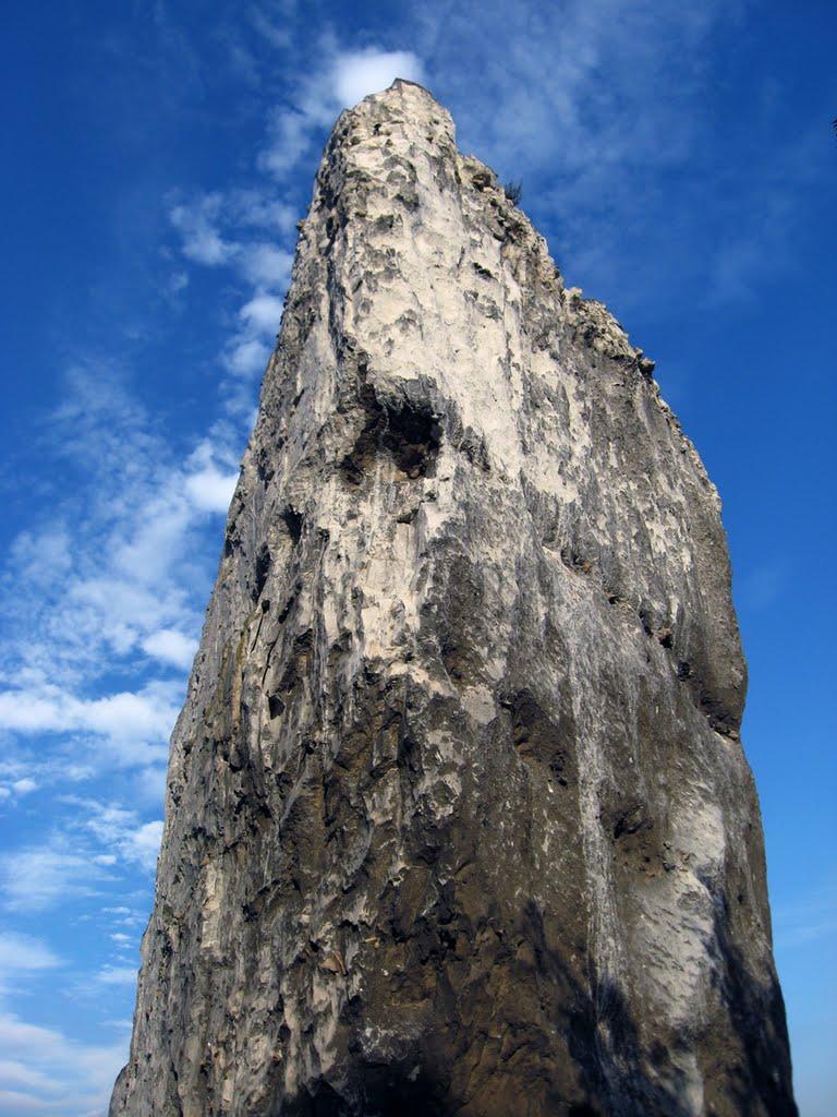 Білокузьминівка з panoramio.com - Білокузьминівка