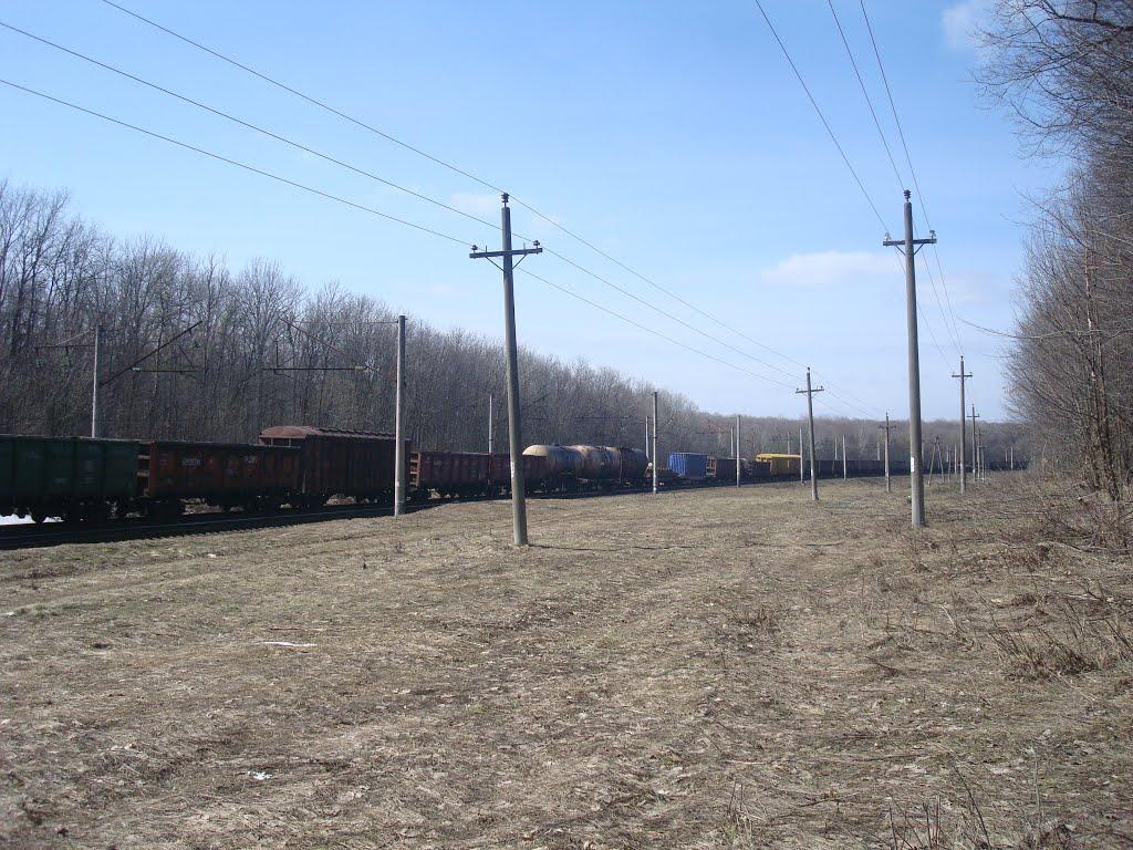 Новий Майдан з panoramio.com - Новий Майдан