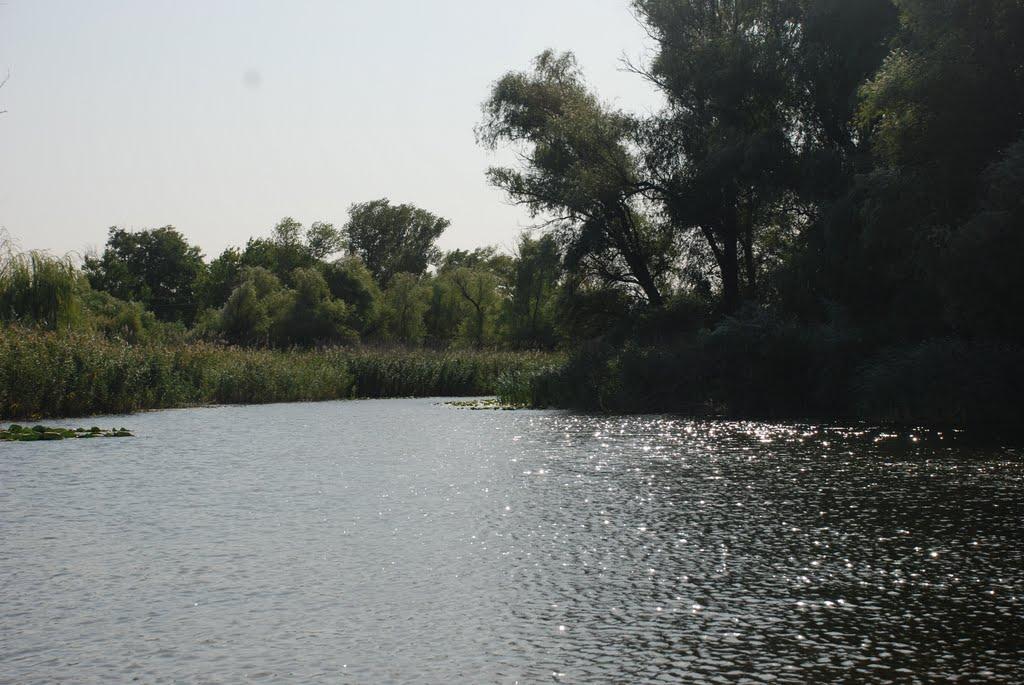 Кринки з panoramio.com - Кринки