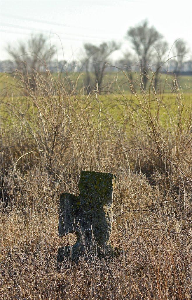 Лохівка з panoramio.com - Лохівка