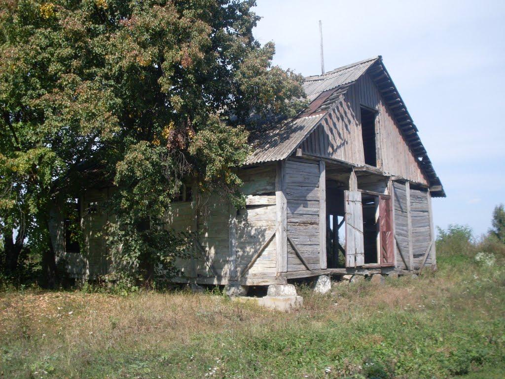 Тимар з panoramio.com - Тимар