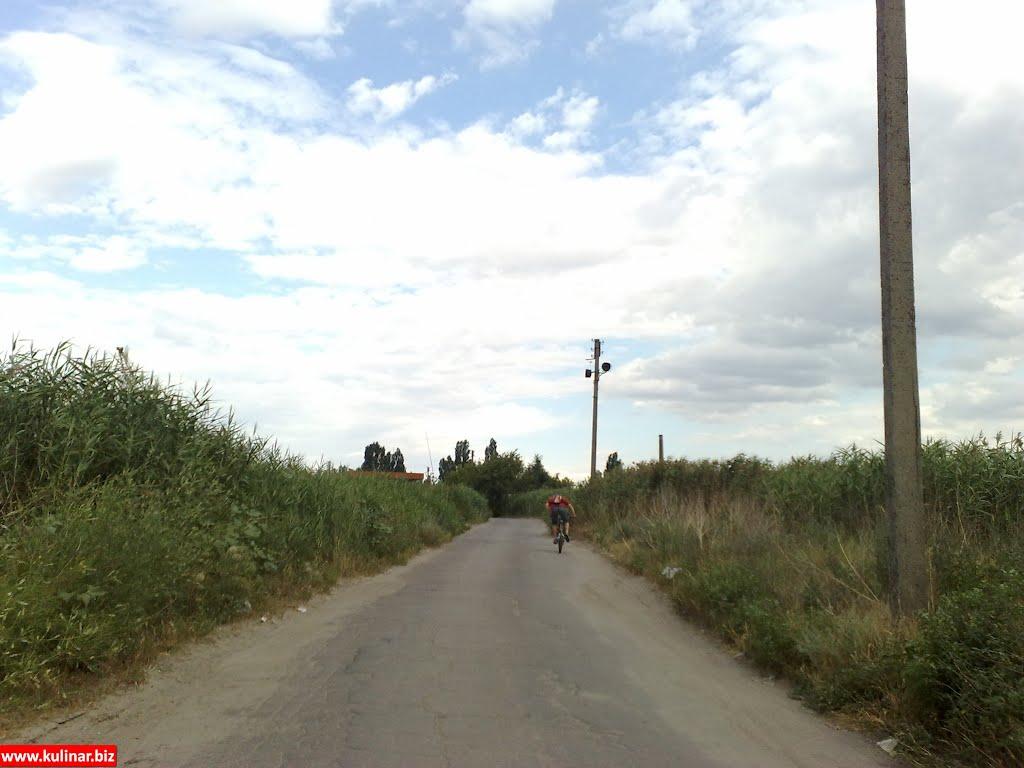 Мелітополь з panoramio.com (ч.2) - Мелитополь