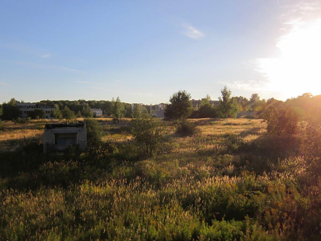 Веселе з panoramio.com - Веселое