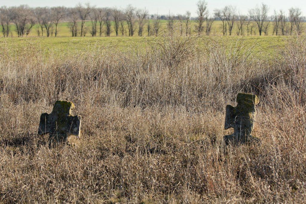 Лохівка з panoramio.com - Лохівка