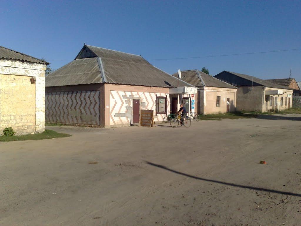 Троїцьке з panoramio.com - Троїцьке