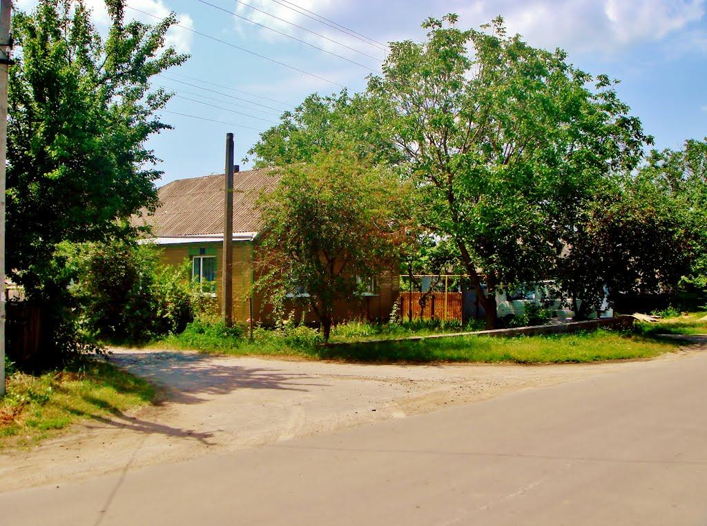 Гудзівка з panoramio.com - Гудзовка