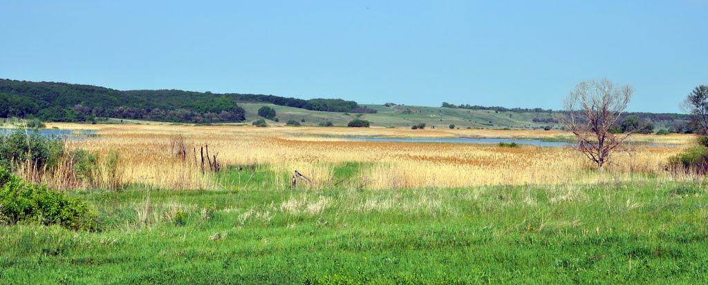 Стрілеча з panoramio.com - Стрелечья