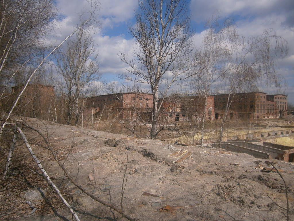 Новий Розділ з panoramio.com - Новый Роздол