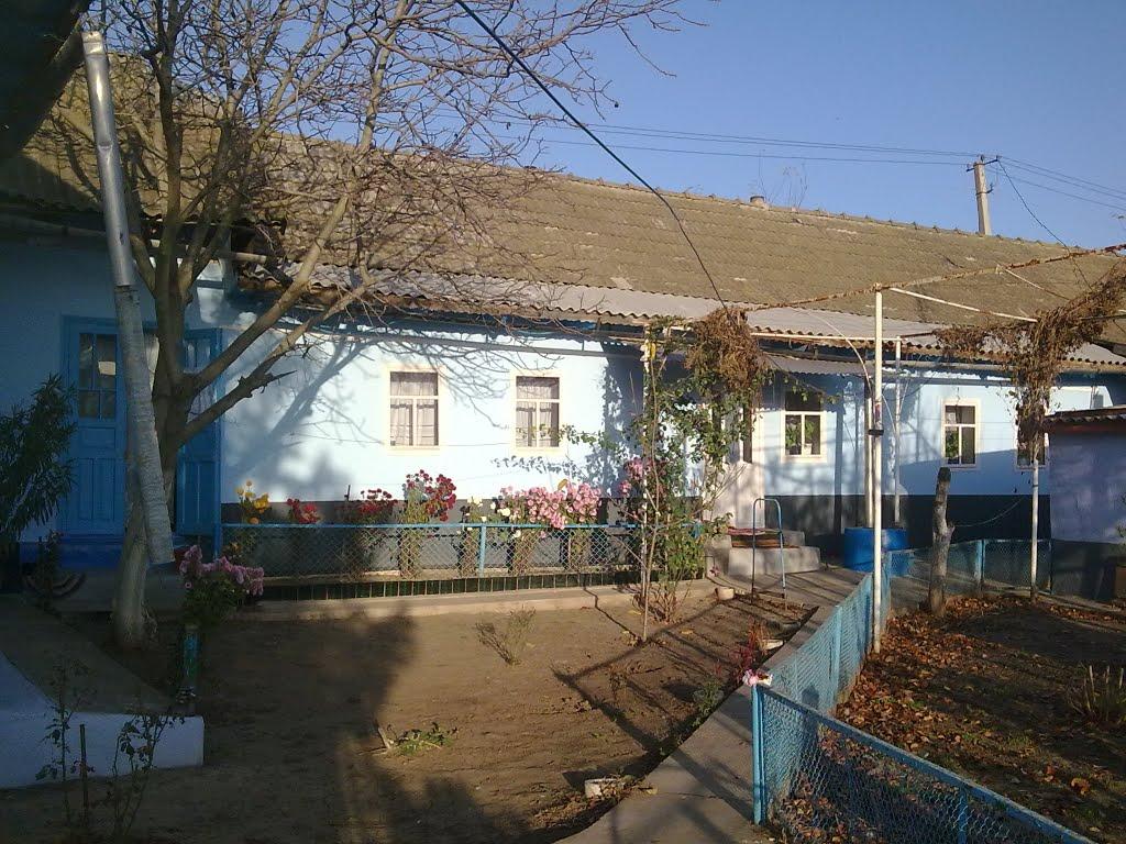 Дмитрівка з panoramio.com - Дмитрівка