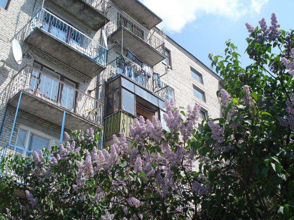 Ківерці з panoramio.com - Киверцы