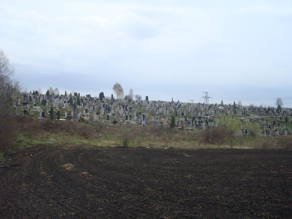 Шаровечка з panoramio.com - Шаровечка