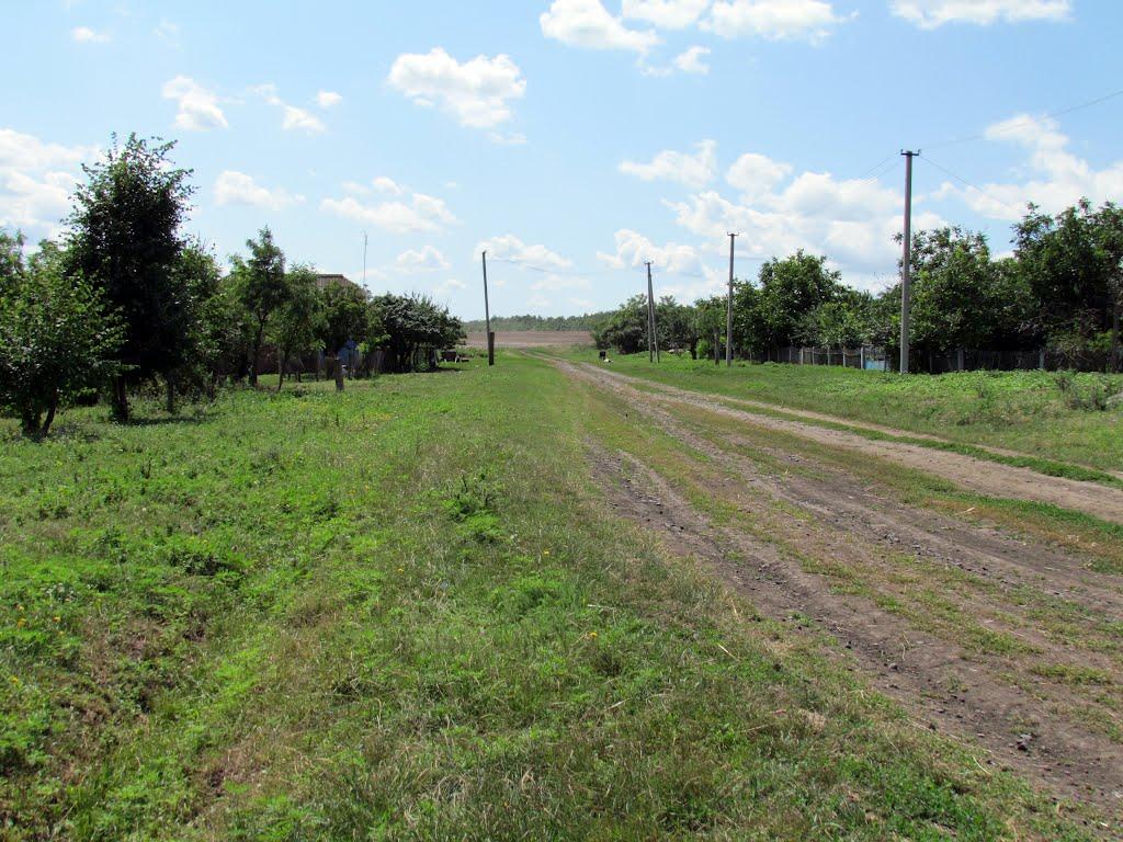 Копійкове з panoramio.com - Копійкове