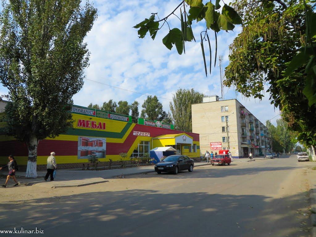 Токмак з panoramio.com - Токмак