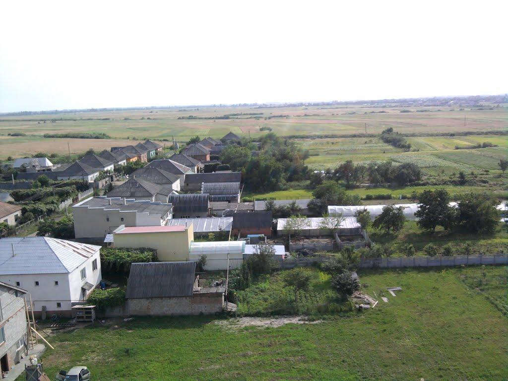 Виноградів з panoramio.com - Виноградов