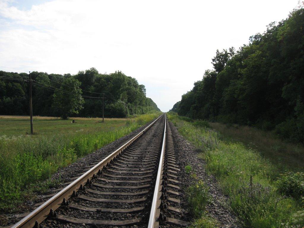 Лукашівка з panoramio.com - Лукашівка