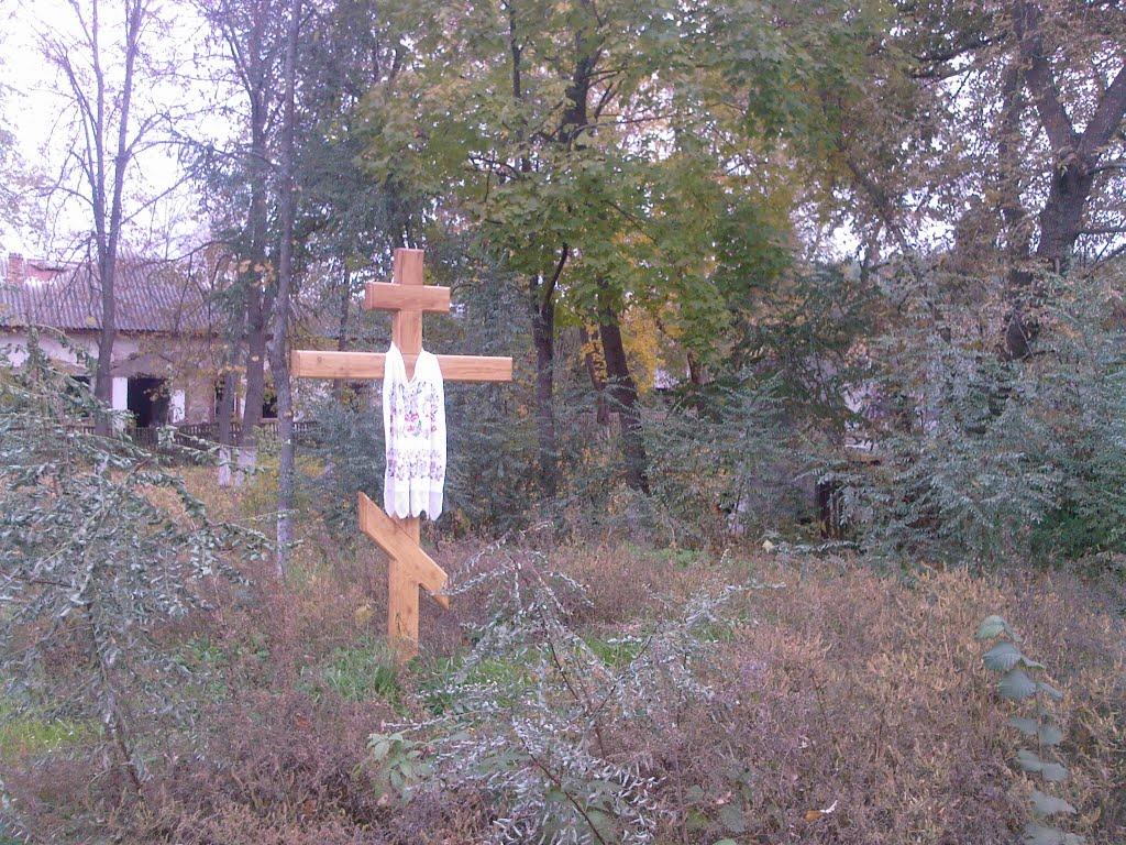 Жолдаки з panoramio.com - Жолдаки