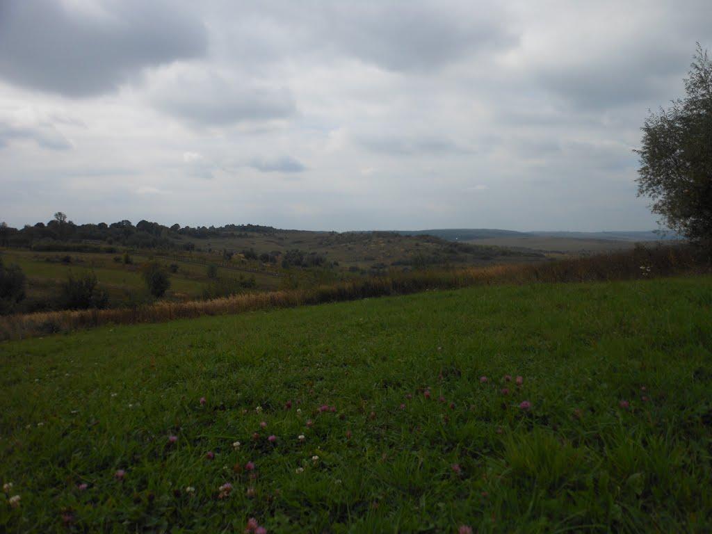 Велика Діброва з panoramio.com - Велика Діброва