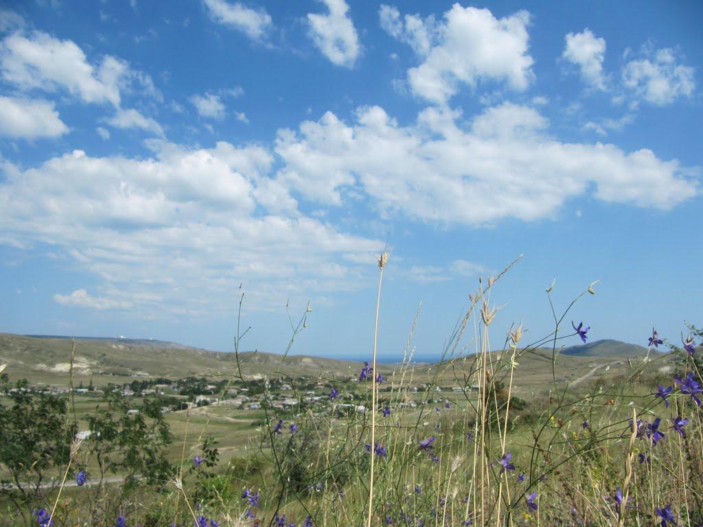 Підгірне з panoramio.com - Підгірне